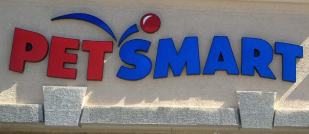 Illuminated channel letter sign
